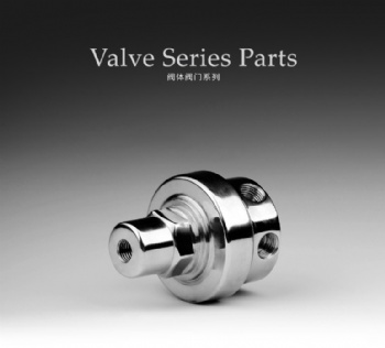 Valve Series Parts